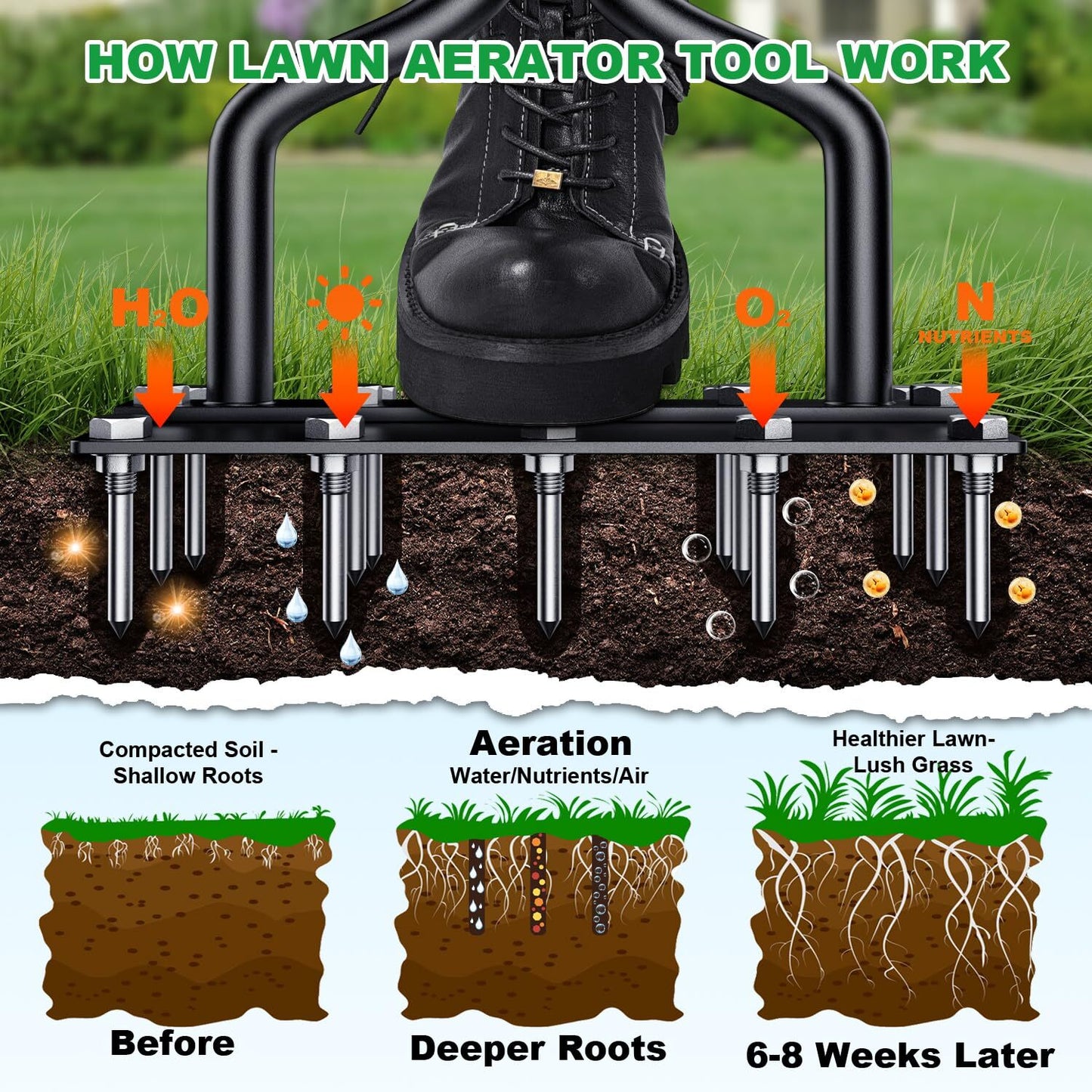 Dual-Action Lawn Aerator